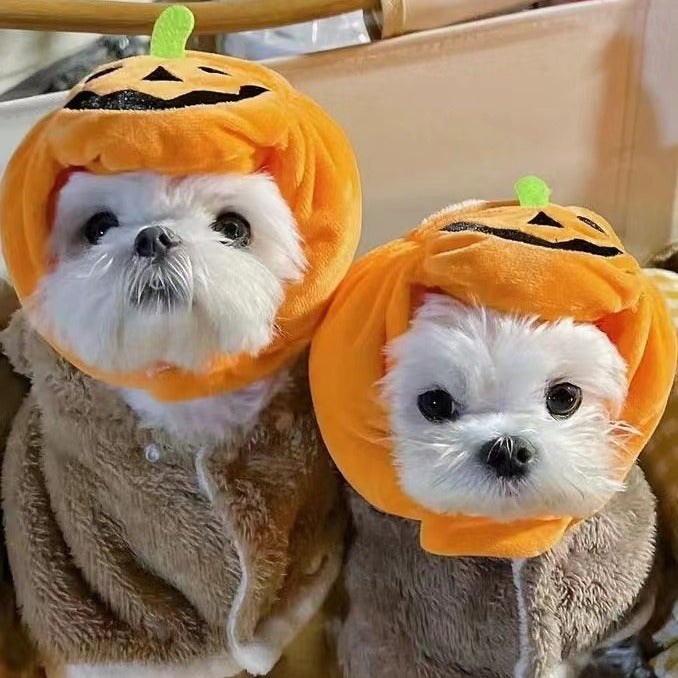 Pet Cat Dog Pumpkin Hat