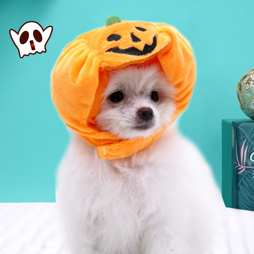 Pet Cat Dog Pumpkin Hat