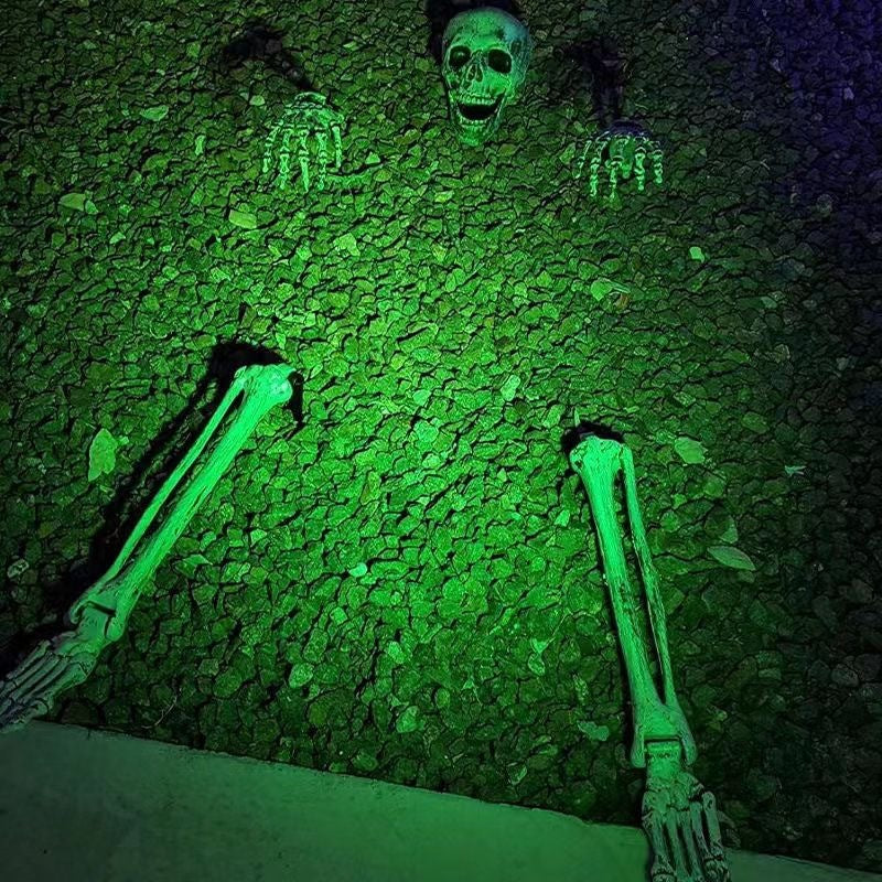 Realistic Skull & Skeleton Stake For Halloween